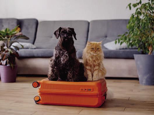 Pet Talk