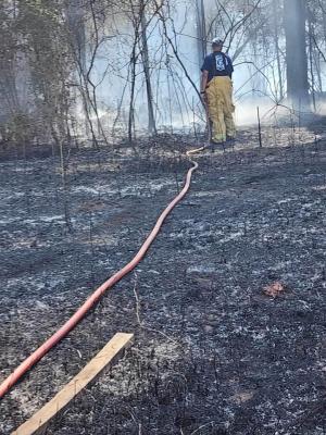 Brush Fire