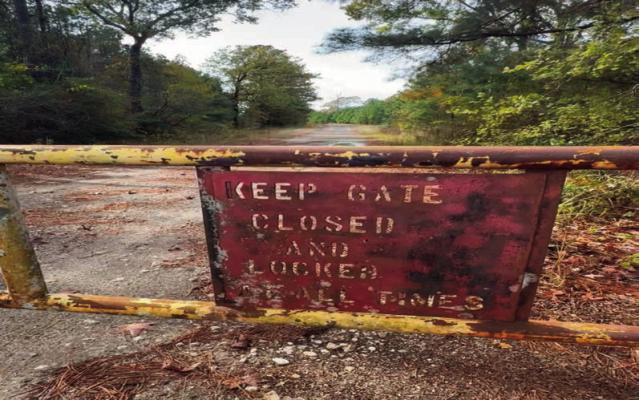 Houston lawyer kills son in Sabine County, burns body