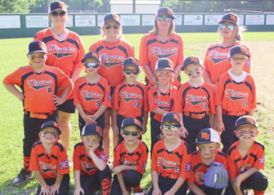 Pineland T-ball Allstar...