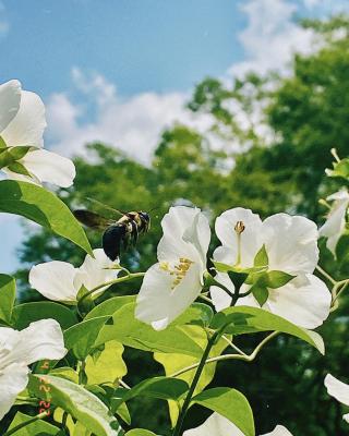 Photo Taken By: Sophie Galloway 