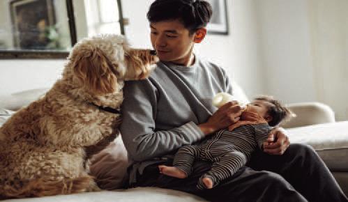 Pet Talk