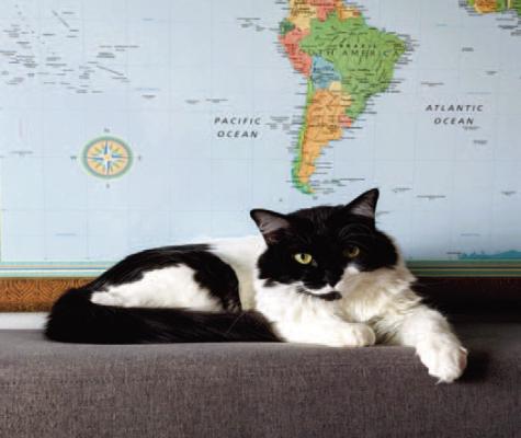 At Home With Felix
