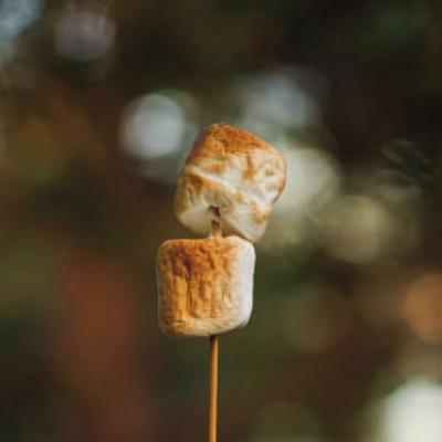 The Second Marshmallow