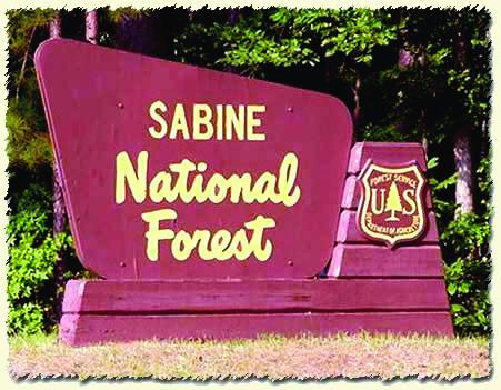 Commissioners Court Keeps Same Forest Service Payment