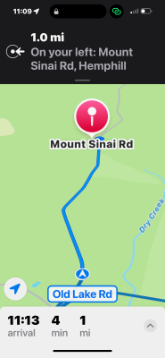 Deputies were called to Mount Sinai Road