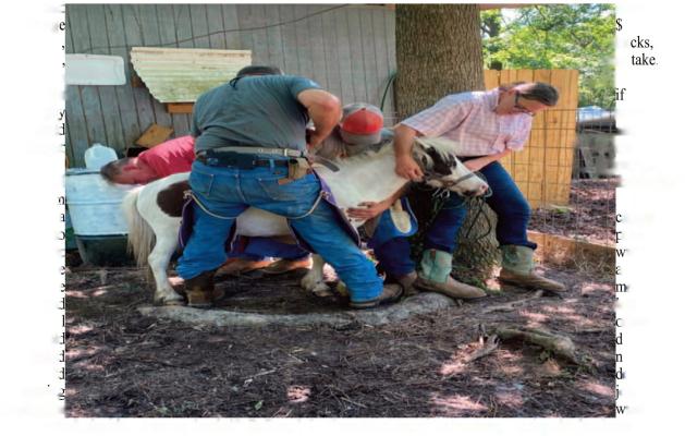 A FUNNY STORY ABOUT HOW MUCH FARRIERS COST