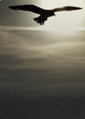 Welcome Integrity: Holy Spirit