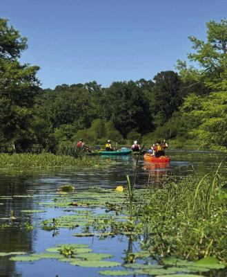 TPWD Opens New Paddling Trails at Toledo Bend Reservoir