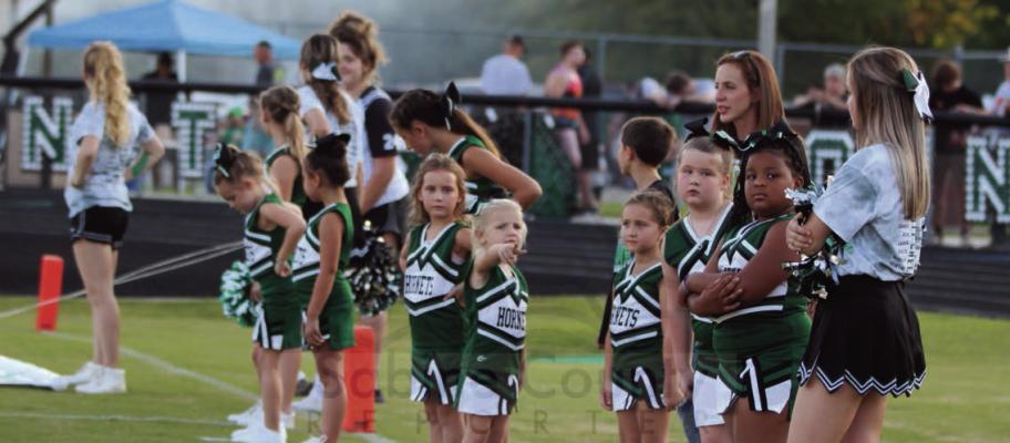 Little Hornets...