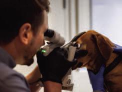Pet Talk