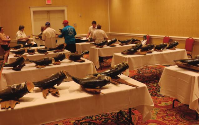 Area anglers receive their rewards...