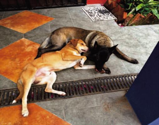 Waiting for a Friend