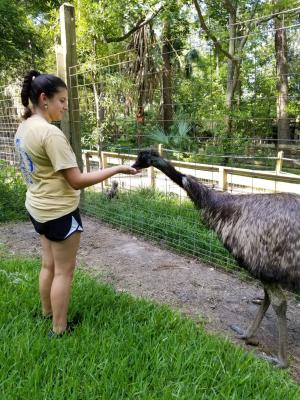 Emu