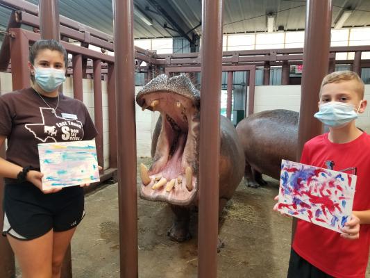 Hippos