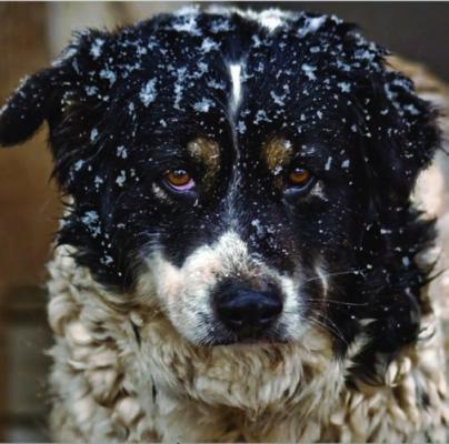 Baby, it’s gonna be cold outside! Prepare