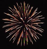 Fireworks are prohibited in forests and grasslands