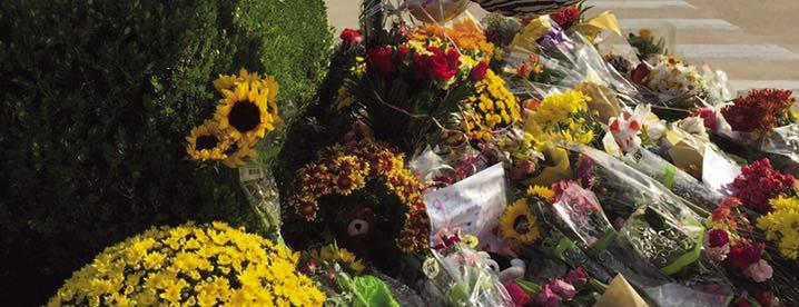October deadliest month for pedestrians last year
