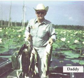 Daddy’s Button Willow