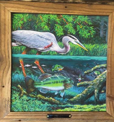 Do You Know the Toledo Bend Lake Association?