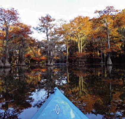 Cheers to 100 Years of Texas State Parks
