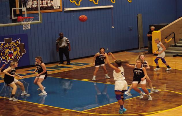 Cushing Falls To Lady Cats Methodical Offense...