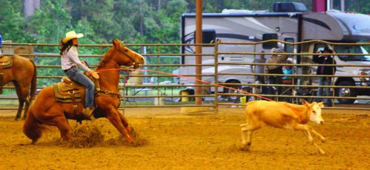 Hemphill Rodeo...