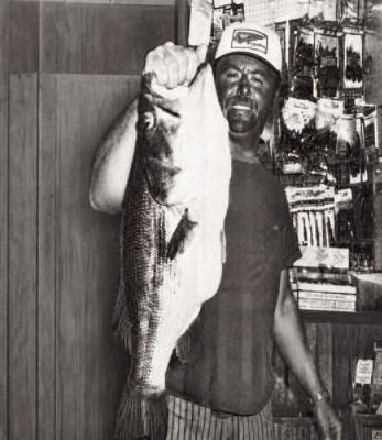 SC REPORTER: August 28, 1974, 8lb 2oz caught on Toledo, near Holly Park by Harold Allen.