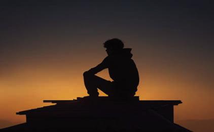 DIDDLER ON THE ROOF