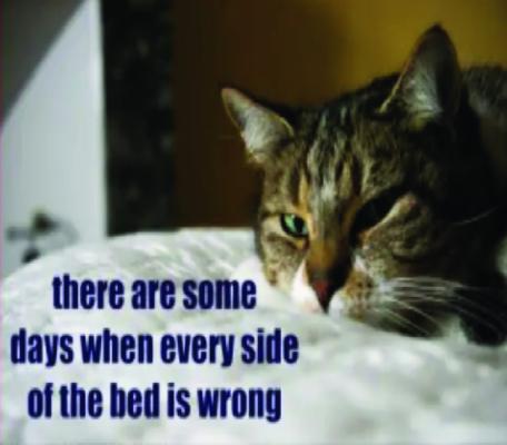 Memories and Musings