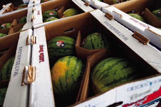 Heat makes for sweet watermelons, good yields