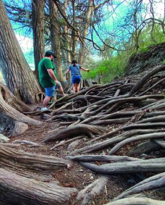 Fall in Love With Your Park: Photo Contest Winner Chosen