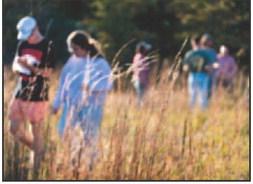 Chigger season tips to beat the itch
