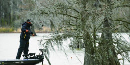 MLF Toyota Series Presented by Phoenix Boats Set for Tournament This Week on Toledo Bend