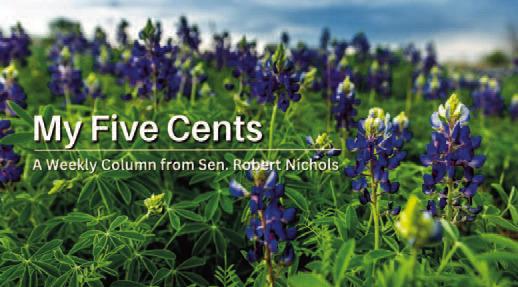 My Five Cents