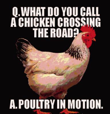 Alt Text for Image