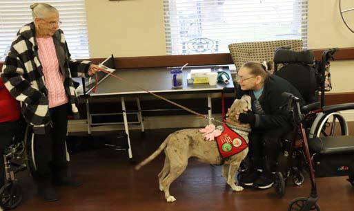 Molli, therapy dog, visits Legacies residents