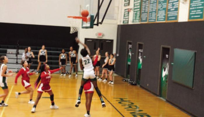 Lady Hornets battle til the end...