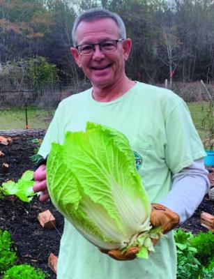 Time to start your Fall Garden