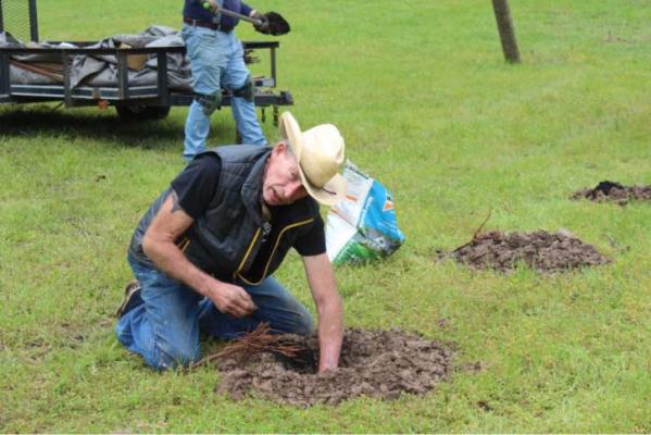 Native Pecan Vineyard...