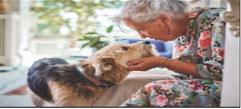Pet Talk