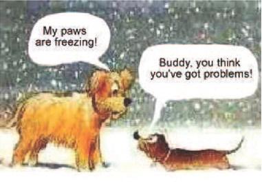 Pet Talk