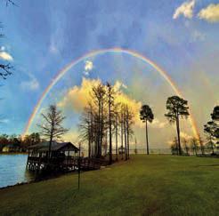 Welcome Integrity: Rainbows