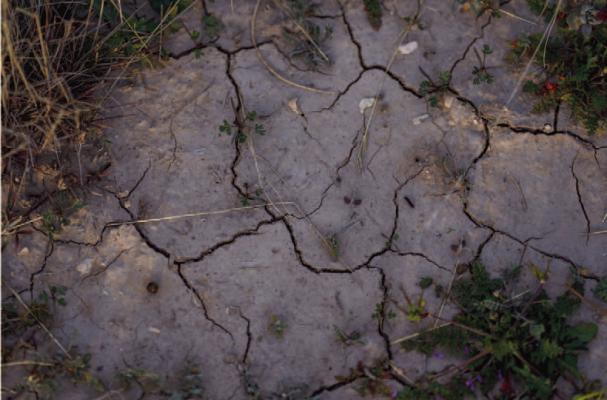 Water well owners: Don’t get left high and dry during drought