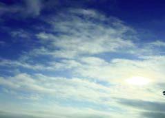 Welcome Integrity: HOPE