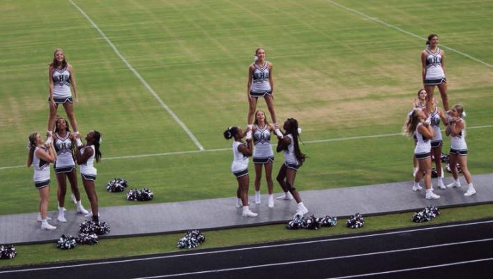Meet the Hornets...
