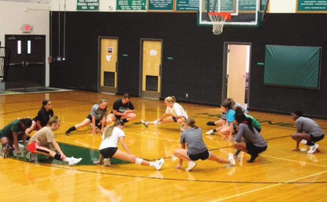 Lady Hornets Volleyball Camp Starts...