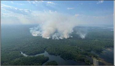 Smoke from the Hogpen Fire in the Indian Mounds Wilderness is spotted during aerial reconnaissance. The Hogpen Fire started on July 24, 2023, as a result of a lightning ignition in the Indian Mounds Wilderness on the Sabine National Forest in Texas. USDA Forest Service photo by Mandy Chumley