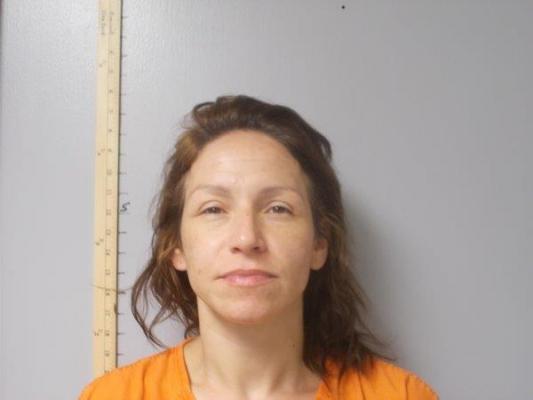 Booking photo from Sabine Parish