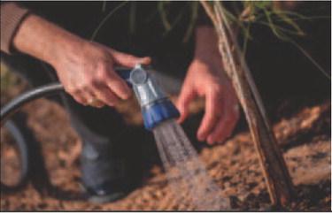 Protect your garden from water stress caused by too much, not enough rain enough rain